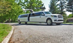 Lincoln Navigator White Jet Door1